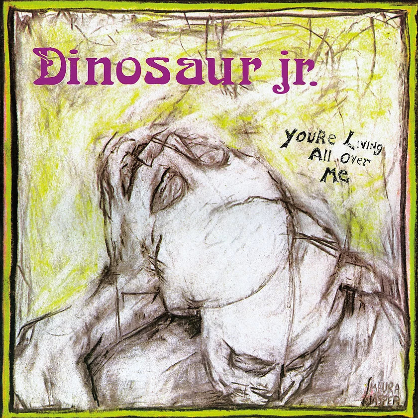 Dinosaur Jr. - You're Living All Over Me